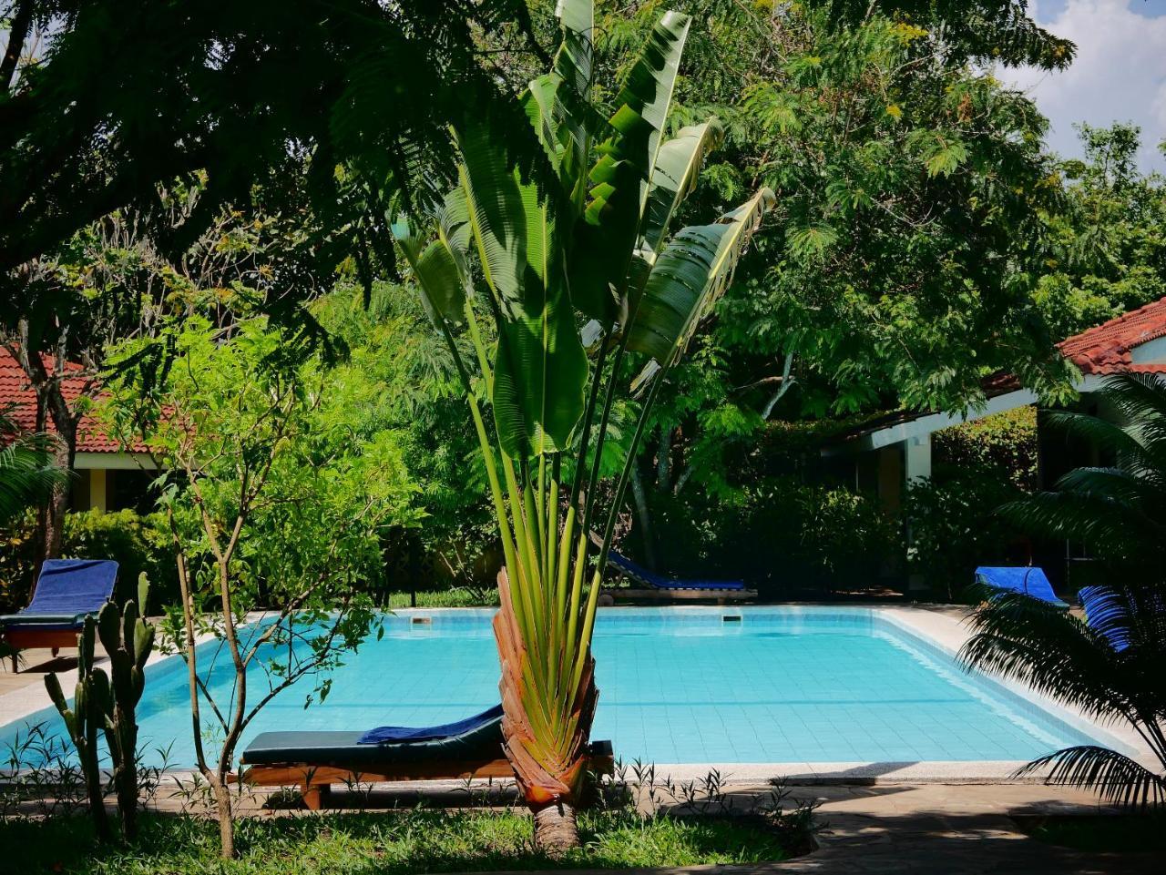 Diani Cottages Diani Beach Eksteriør billede
